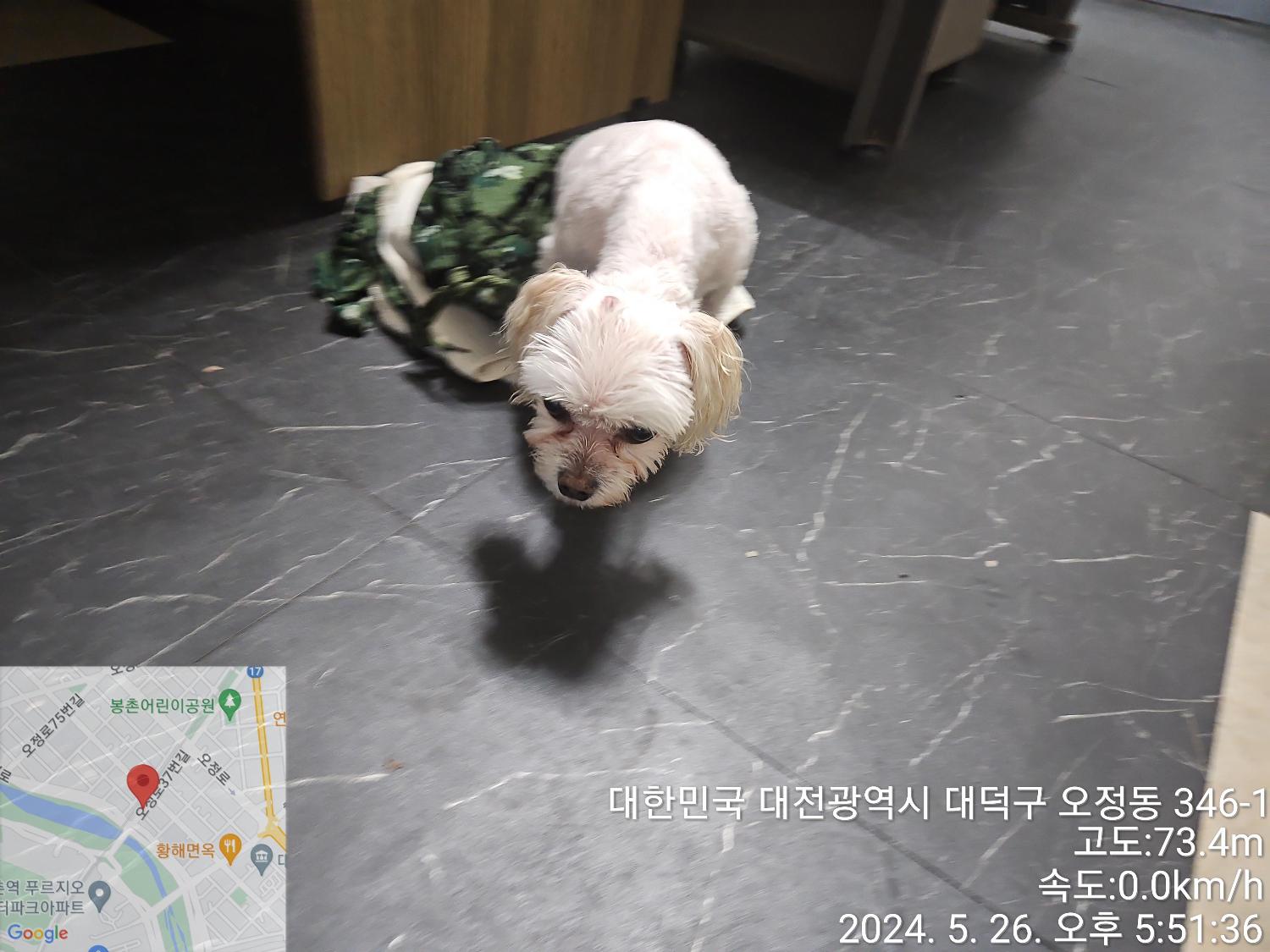 대전동물보호센터_430368202400245